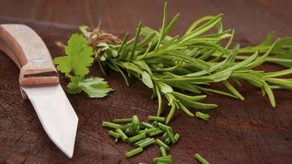 Rosmarin: Dein natürlicher Booster für Geist & Körper – Was das Mittelmeerkraut wirklich kann Cover