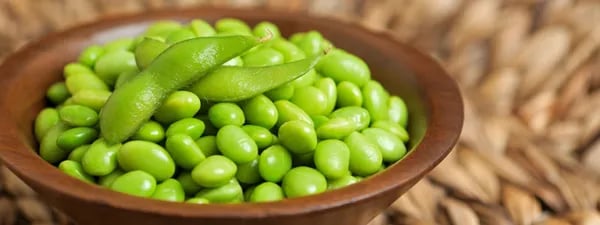 Sojamilch-Joghurt: Dein ultimativer Guide für selbstgemachten Genuss Cover